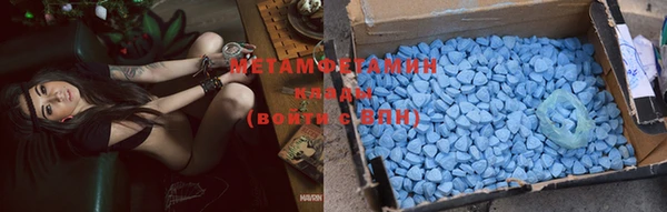 сатива Волосово