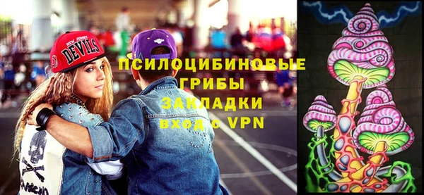 тгк Верея