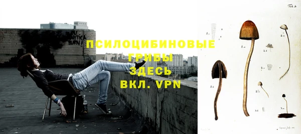 герыч Володарск
