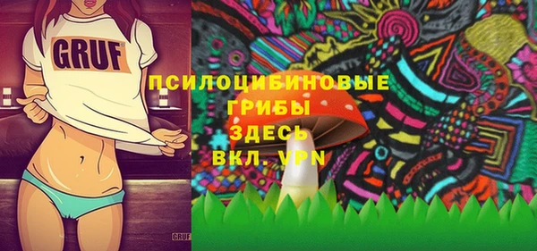 тгк Верея